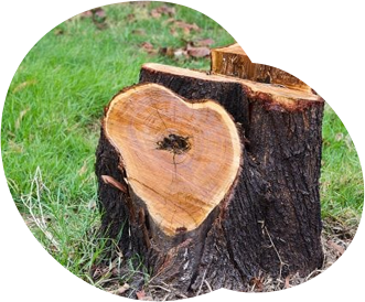 Land Clearing