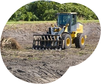 Stump Grinding Brisbane